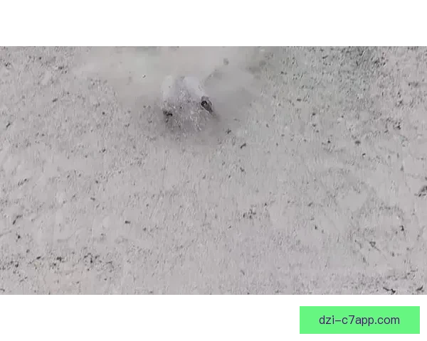 两天三摔齐广璞告别李天马泪崩